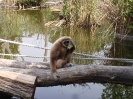 Tiergarten_Schönbrunn_12_30