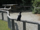 Tiergarten_Schönbrunn_12_52