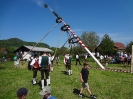 Maibaumaufstellen_12