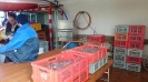 Aufbauen_15_43